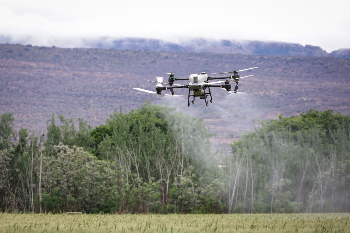 Drone pulverizando lavoura