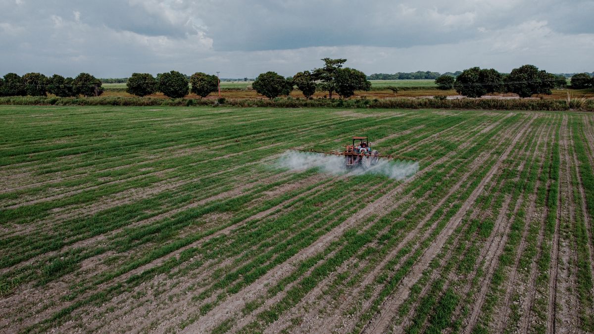Pulverização agrícola em lavoura