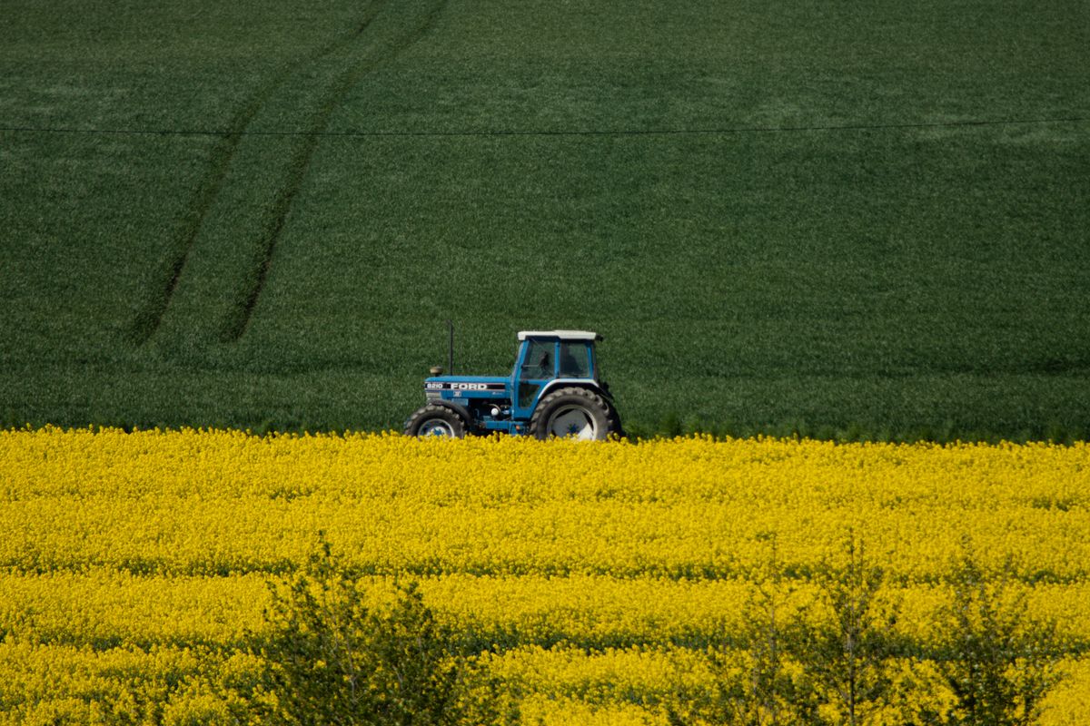 Trator em lavoura de canola